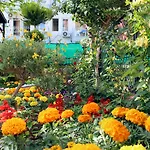 Hotel Semoris Sidé