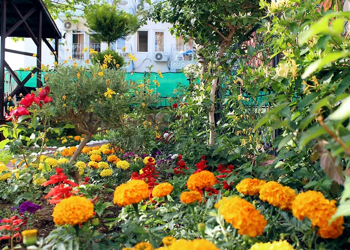 Готель Semoris Сіде